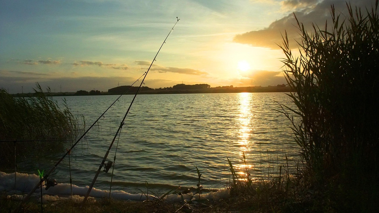 fishing tip light was is passion fishing tip light